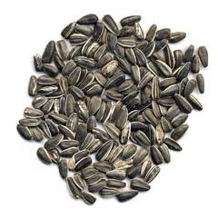 Sunflower Seeds